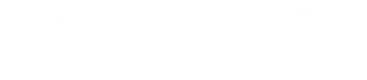 TYPIC STUDIO