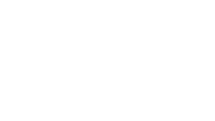 LOGO-DEBIC